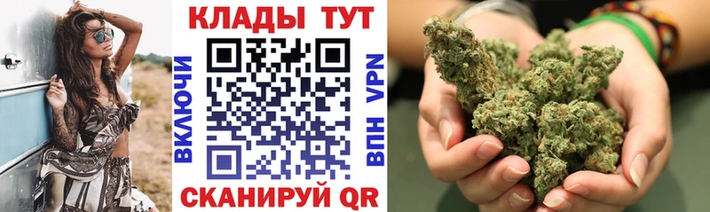 Где купить Чадан Галлюциногенные грибы АМФЕТАМИН Бошки Шишки Codein Кокаин МЕФ