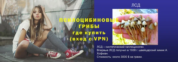 соль ск Алексин