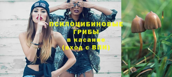 соль ск Алексин
