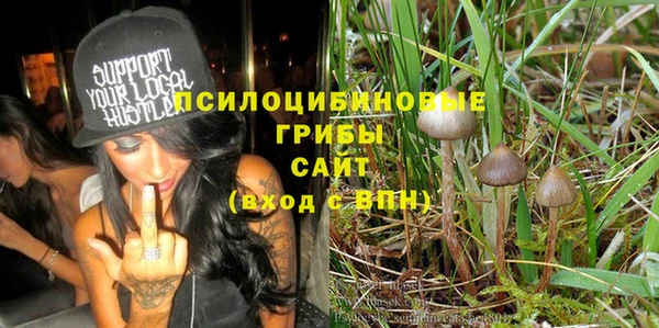 твердый Алзамай