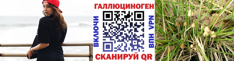 Галлюциногенные грибы прущие грибы MEGA ссылки Чадан