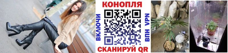 МАРИХУАНА ГИДРОПОН  продажа наркотиков  Чадан 